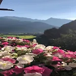 Comfortable In With Garden 公寓 迈尔霍芬