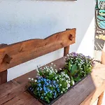 Comfortable In With Garden