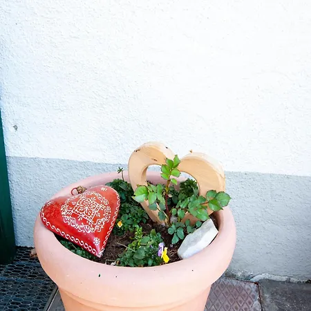 Comfortable In With Garden Apartment