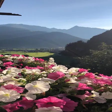 Comfortable In With Garden شقة