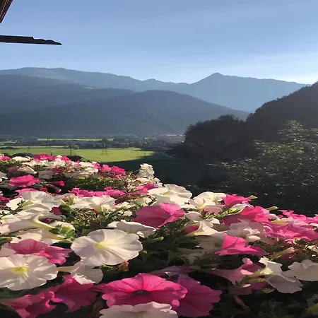 Comfortable In With Garden Lejlighed Mayrhofen