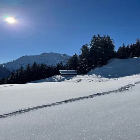 Comfortable In With Garden Lejlighed