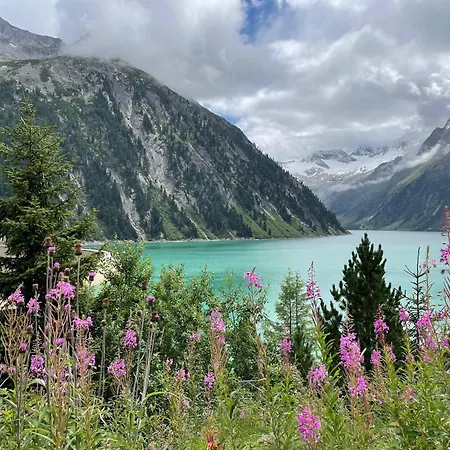 شقة Comfortable In With Garden