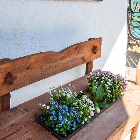 Comfortable In With Garden