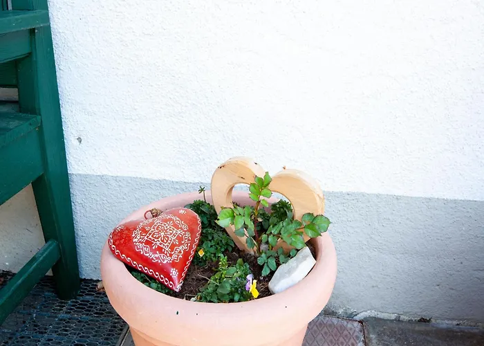 Comfortable In With Garden Apartamento