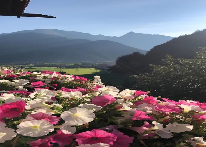Comfortable In With Garden Daire Mayrhofen