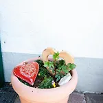 Comfortable In With Garden アパート