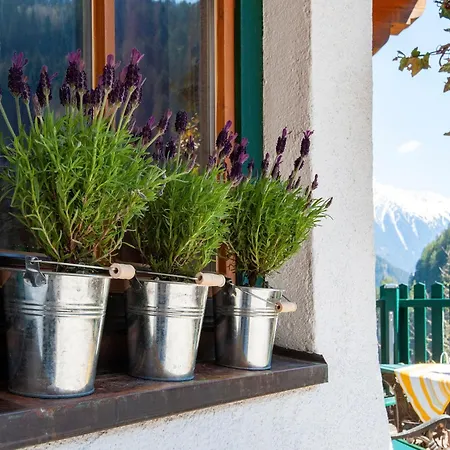Comfortable In With Garden * Mayrhofen